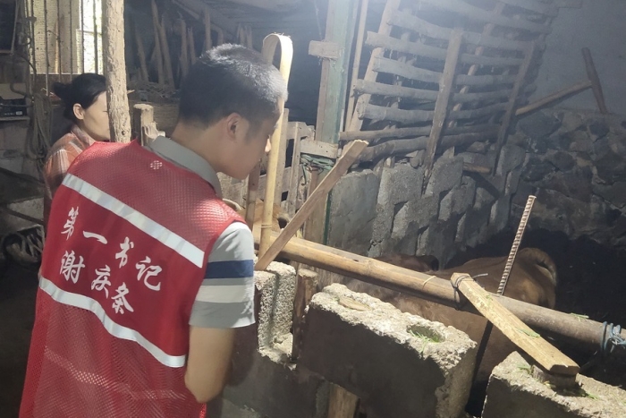 接力奋进新征程 医者初心践于行——918博天堂口腔颌面外科党支部谢庆条赴马山县龙琴村担任驻村第一书记 第 1 张 接力奋进新征程 医者初心践于行——918博天堂口腔颌面外科党支部谢庆条赴马山县龙琴村担任驻村第一书记 第 1 张